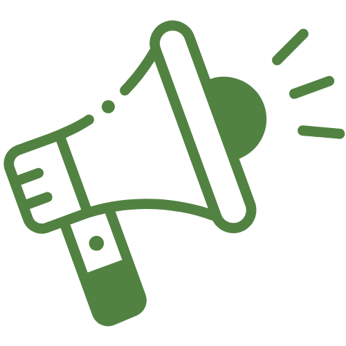 Promotional Strategy